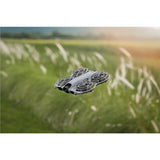 DJI Neo 2 Motion Fly More Combo