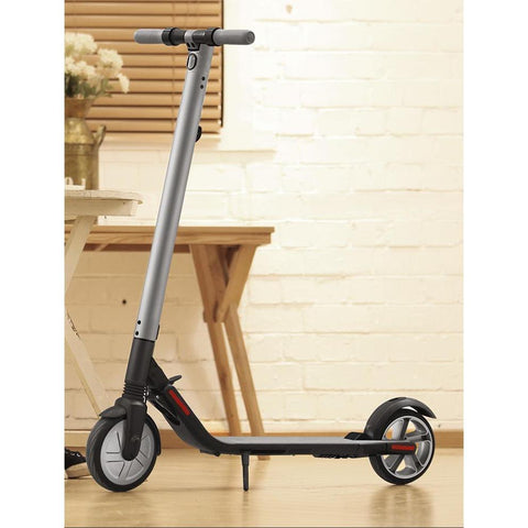 Segway Ninebot Kickscooter ES2 500W Max 700W (2018 Version)