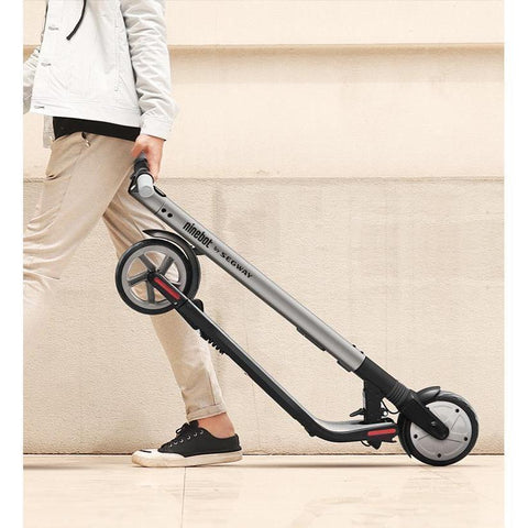 Segway Ninebot Kickscooter ES2 500W Max 700W (2018 Version)